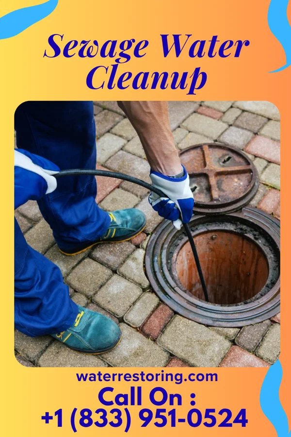 Sewage Water Cleanup in Bothell, WA